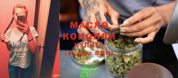 индика Верея