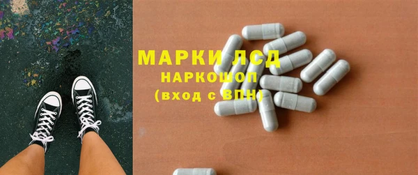 индика Верея