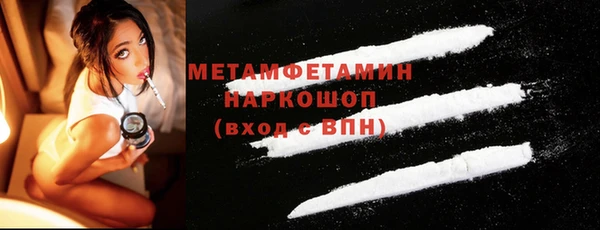 индика Верея
