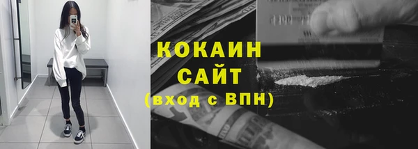 индика Верея