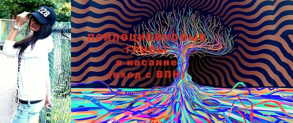 соль курить ск Верхний Тагил