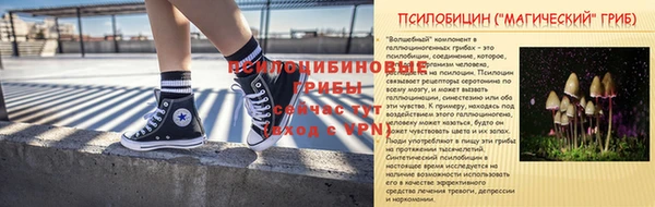 индика Верея