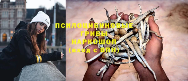 ПСИЛОЦИБИНОВЫЕ ГРИБЫ Снежногорск